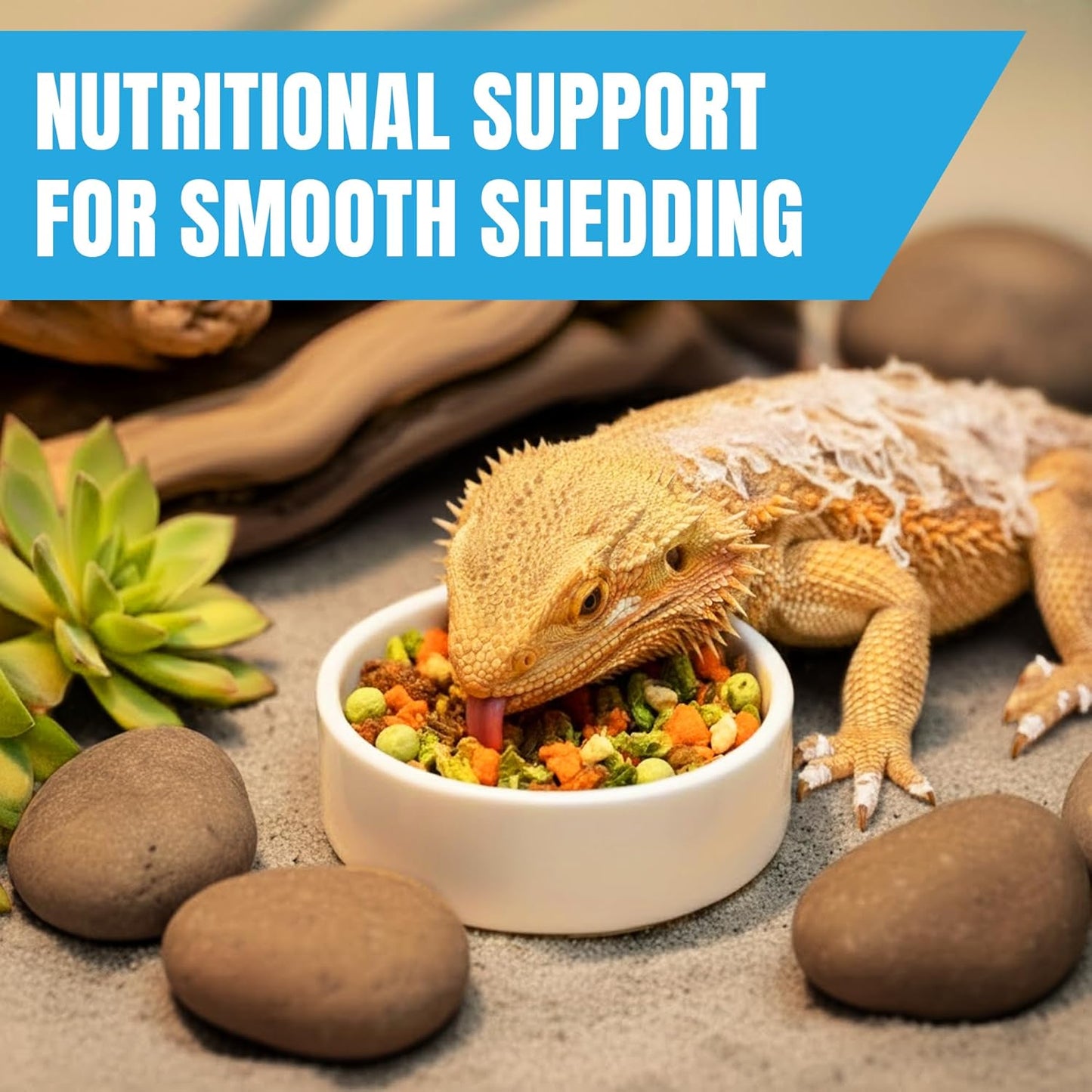 JOR Bearded Dragon Fruit & Insect Mix, Sun-Dried Vegetables, Freeze-Dried Bananas, Crickets, Mealworms & Calcium-Enriched Silkworms, Tasty Balanced Meal for Turtles, 3.5 oz