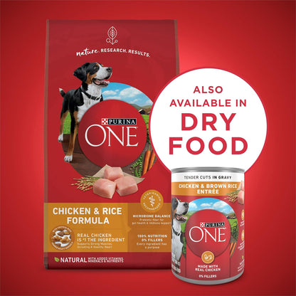 Purina ONE Natural High Protein Dog Food, Tender Cuts in Gravy Chicken and Brown Rice Entrée - 13 Ounce (Pack of 12)