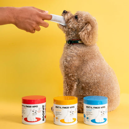 Dog Teeth Cleaning Wipes 60 Packs - Fragrance-Free Dental Wipes to Reduce Plaque & Tartar for Dogs & Cats - Pet Dental Wipes for Oral Freshness