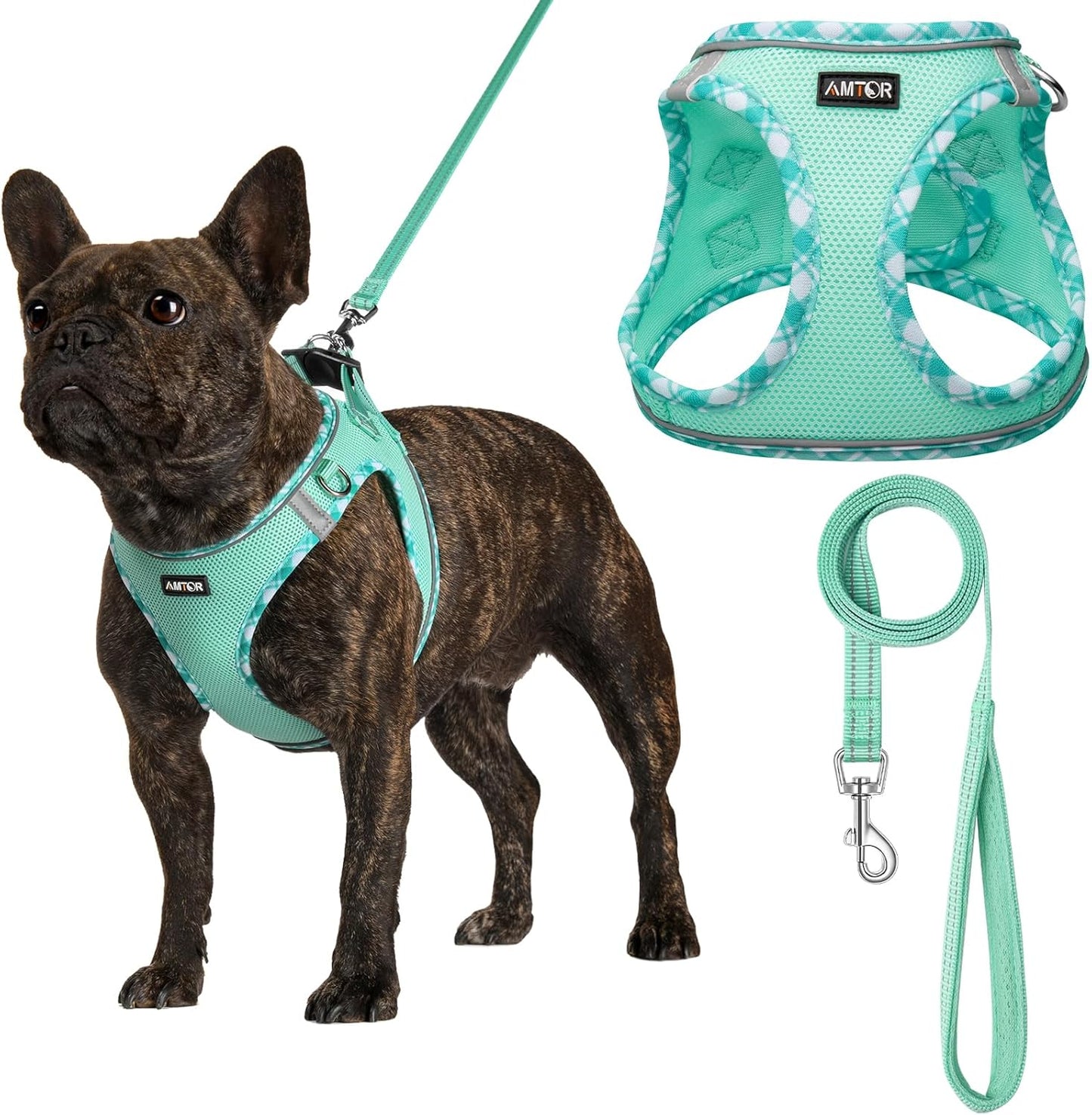 AMTOR Small Dog Harness with Leash Set, No Escape Easy Walk Puppy Harnesses for Training Walking, Step-in Reflective Soft Dogs Vest for XS S Medium Extra-Small Large Sized Dog(Green,S)