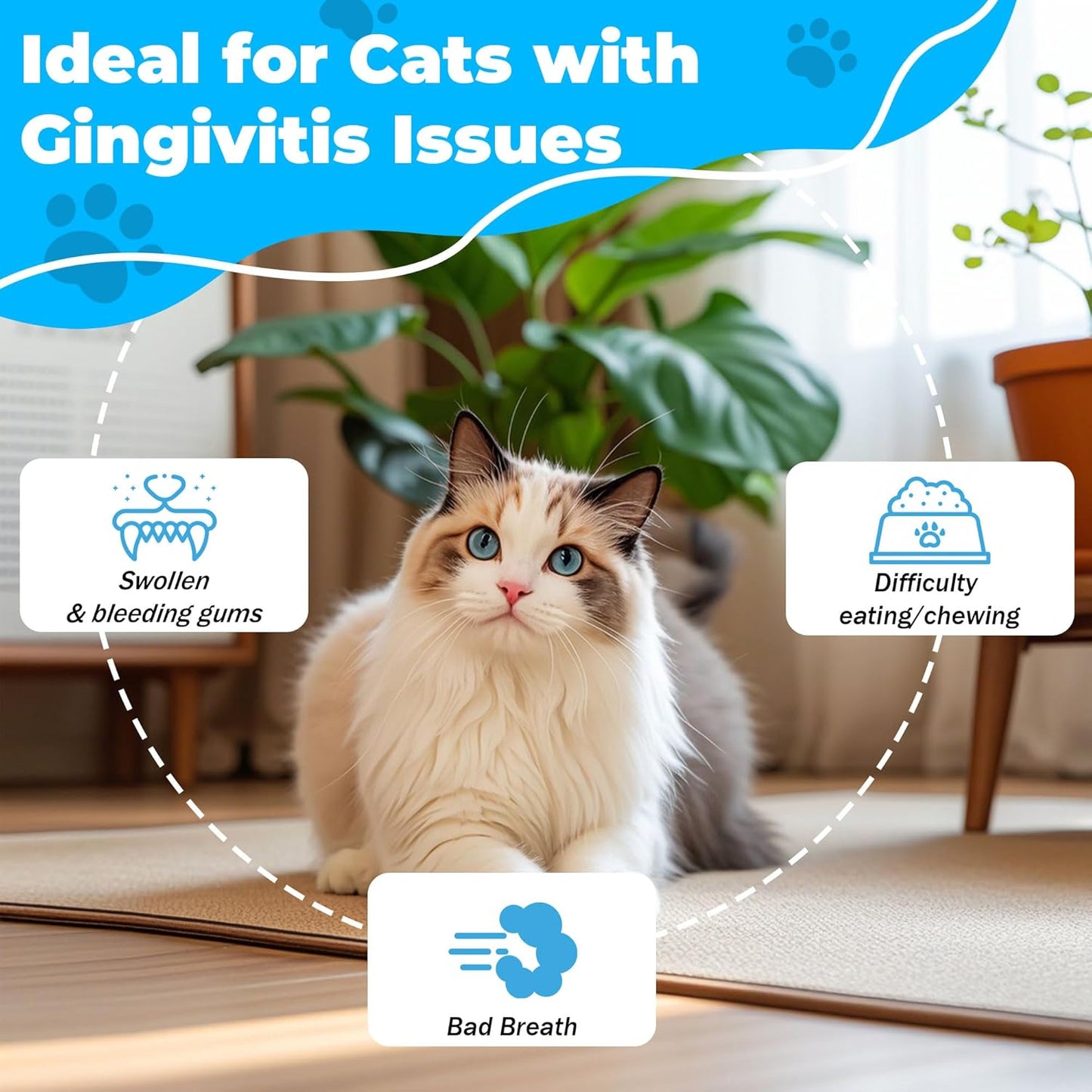 Cat Dental Care - gingivitis Treatment - Relieves Bad Breath, Supports Teeth, Gums, Mouth & Digestion, Removes Plaque, Controls Tartar, Promotes Cat Mouth Health, Natural Extracts, 2.11 oz Powder