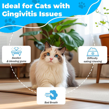 Cat Dental Care - gingivitis Treatment - Relieves Bad Breath, Supports Teeth, Gums, Mouth & Digestion, Removes Plaque, Controls Tartar, Promotes Cat Mouth Health, Natural Extracts, 2.11 oz Powder