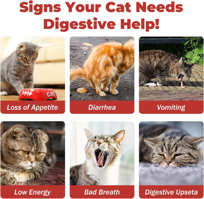 Probiotic Cat Bars for Cats | 8 Highly Active Probiotics + Prebiotics | Gastrointestinal Health | Chicken Flavor | Easy to Digest | Stool Fighter (12g x 30 Bars)