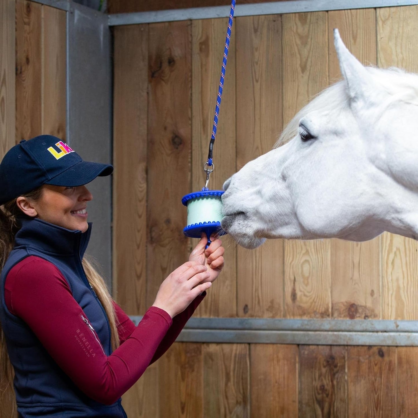 Likit Holder Purple | Stable Toy for Horses, use Horse Treats | Help Horse Boredom | Purple