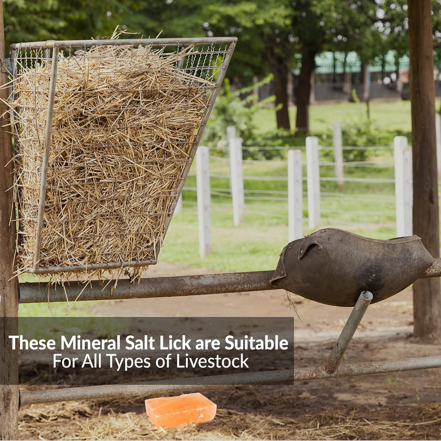 Himalayan Nature Horse Licking Salt, Animal Licking Mineral Salt Brick - 5 Lbs