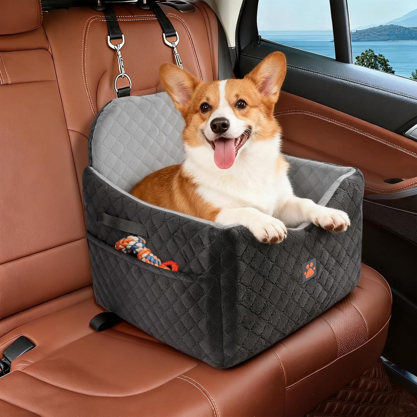 Dog Car Seat for Small/Medium Dogs Up to 35lbs, Pet Booster CarSeat with Thick Cushion, Detachable Washable Pet Car Bed with Storage Pockets, 2 Safety Belts (Grey)
