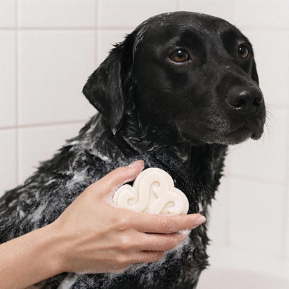 Vegan Dog Shampoo Bar Premium K-Beauty Inspired Gentle Dog Shampoo Bar for Sensitive Skin with Green Tea, Camellia Oil & Centella Asiatica, Elegantly Scented (Silent Grove)