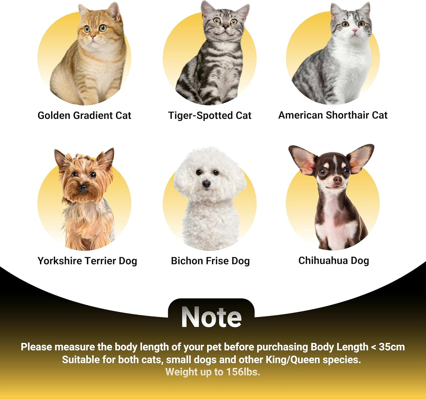 Premium Pet Sofa – Holland Velvet Dog and cat Throne Chair, Black & Gold Design, Cozy & Soft, Scratch-Resistant & Durable, Perfect for Home Décor & Pet Lovers