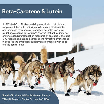 Chew + Heal Labs Senior Dog Vision and Cognition Chews - 60 Soft Chews for Dog Eye Care and Memory - 7-in-1 Multivitamin with Omega Fatty Acids, Vitamins, and Botanicals - Made in The USA