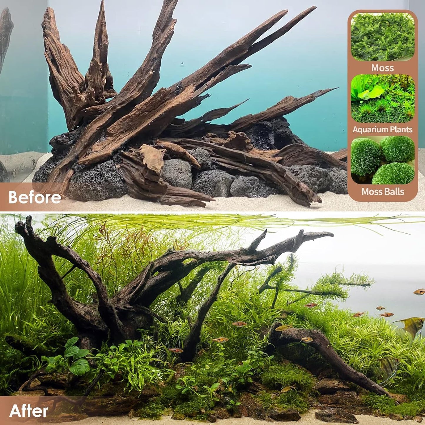 Natural Aquarium Driftwood for Fish Tanks & Reptile Terrariums – Safe Fish Tank Decorations, Unique Twisted Branches 3-Piece 7-11 Inch Low Tannin, Easy to Sink