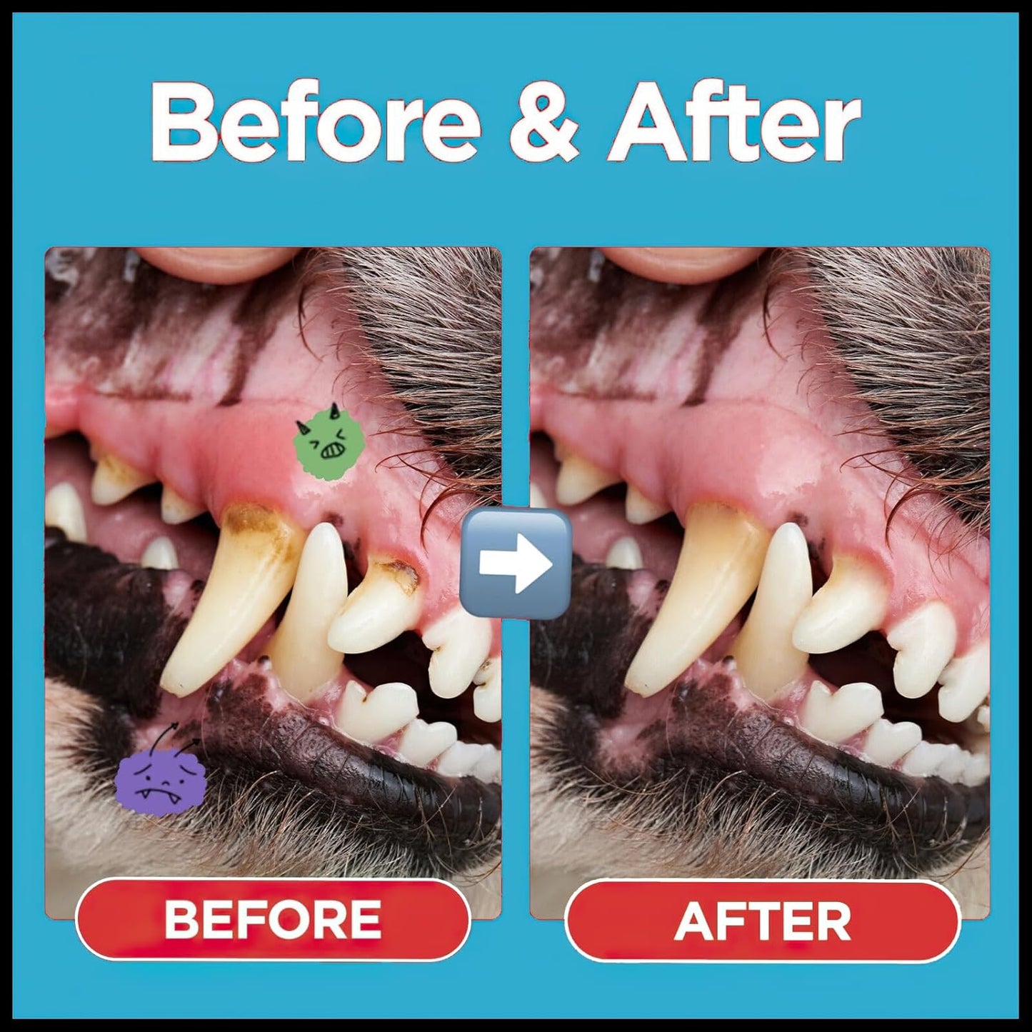 MIELIKKI Pets Dental Toothpaste, Toothpaste for Cats & Dogs, Cleans Teeth, Fights Bad Breath, Promotes Strong Teeth, 100g, Orange Flavor