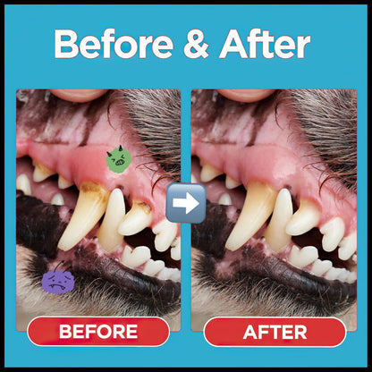 MIELIKKI Pets Dental Toothpaste, Toothpaste for Cats & Dogs, Cleans Teeth, Fights Bad Breath, Promotes Strong Teeth, 100g, Orange Flavor