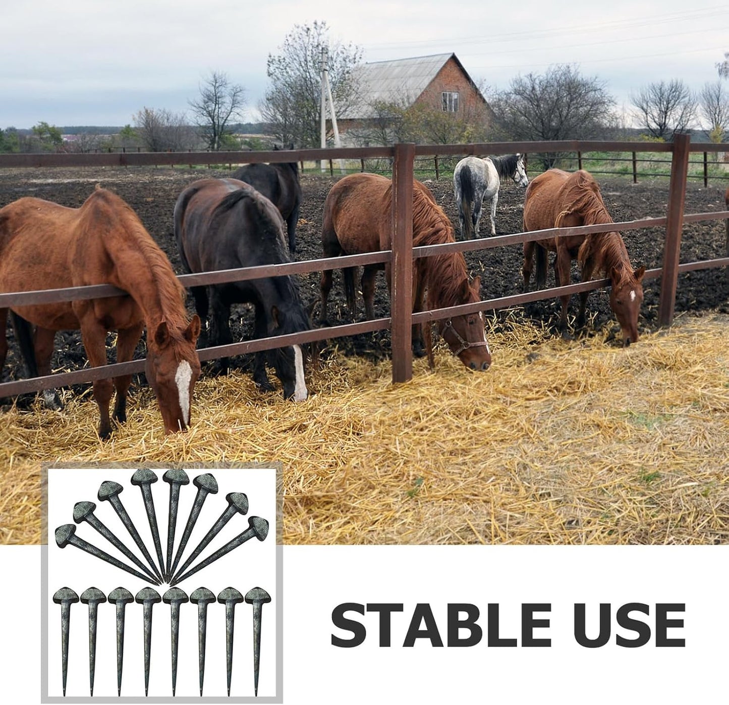 50Pcs Iron Horseshoe Nails for Hoof Care, Durable Low Carbon Steel Horse Accessories with Sharp Beveled Design for Easy Application Farrier Tools for Daily Use