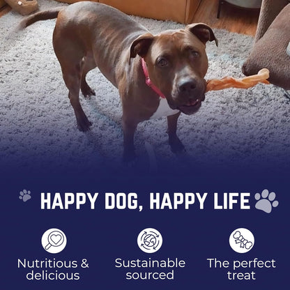 Devil Dog Pet Co. Jumbo Bully Sticks – 12 Inch, 3 Pack Dog Chews, 100% Natural, Single Ingredient, Free-Range Grass-Fed Beef – Long Lasting, Rawhide-Free Treats for Dogs