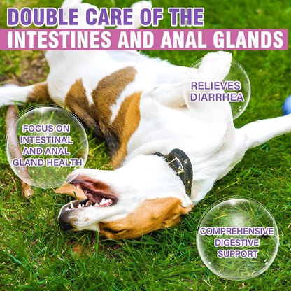 Dog Anal Gland Soft Chews 150 Stop Scoot for Dogs Supports Anal Gland Bowel Function Digestive Health Fiber Pumpkin Supplement for Dogs Pet Diarrhea Bowel Support Probiotics Digestive (Liver Flavor)