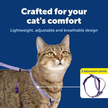 PetSafe Come with Me Kitty Cat Harness & Bungee Leash - Comfortable No-Choke Harness with Lightweight Bungee Leash for Outdoor Fun - Escape Free Pulling Prevention - Medium - Lilac