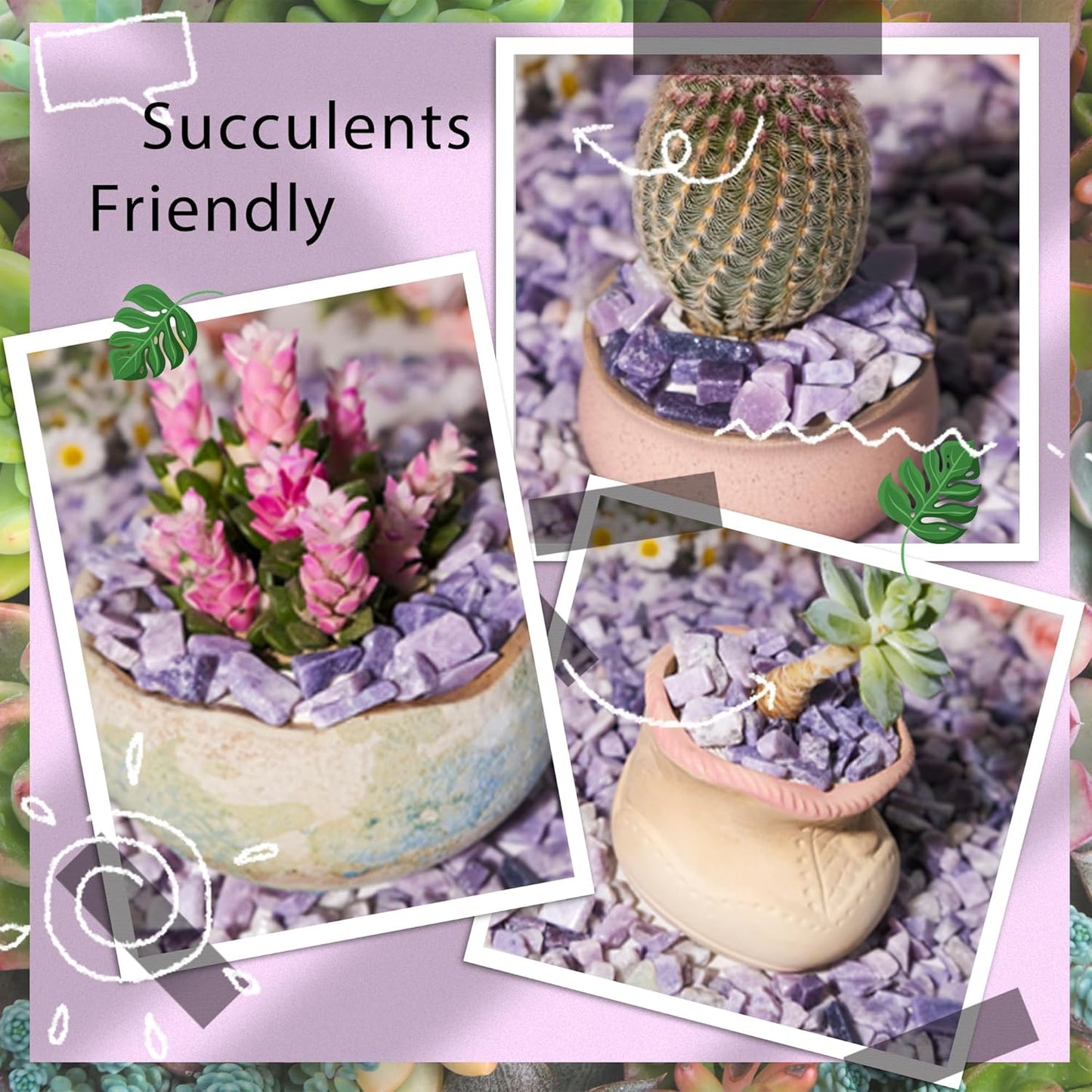 Lepidolite Crystal Chips 2lb (1200+ pcs) – 8-15mm Natural Purple Mica Stones for Aquarium Gravel, Terrarium Decor, Plant Healing,Jewelry Making, Anxiety Relief & Spiritual Gifts