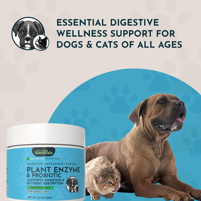 Animal Essentials Plant Enzyme & Probiotics - Probiotics & Digestive Enzymes for Dogs & Cats, Natural Daily Gut & Digestion Support Supplement for Pets, Plant Based - 3.5 Oz