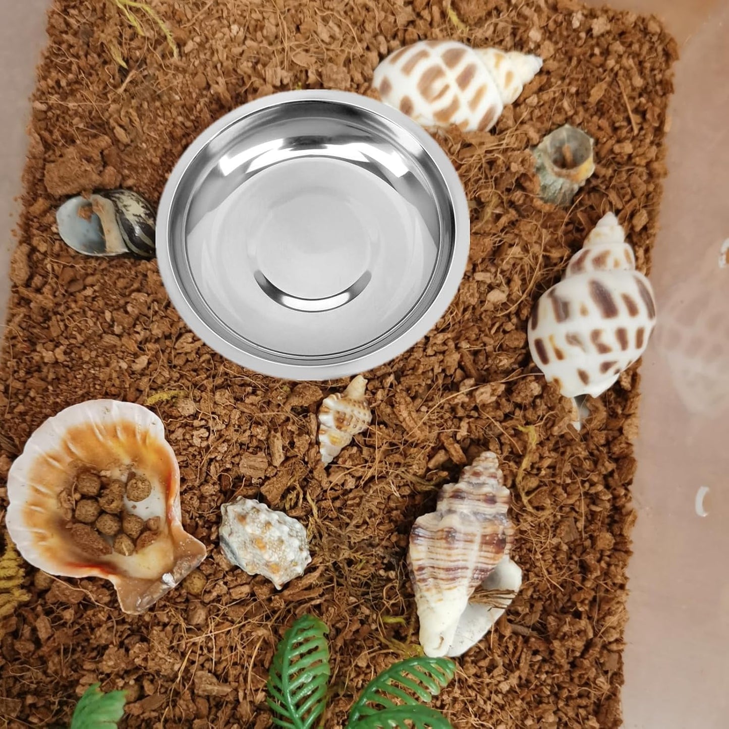 8 Pcs 2.5in Stainless Steel Hermit Crab Feeding Dishes - Food & Water Bowls for Snail, Gecko, Insect & Reptile Terrarium Use