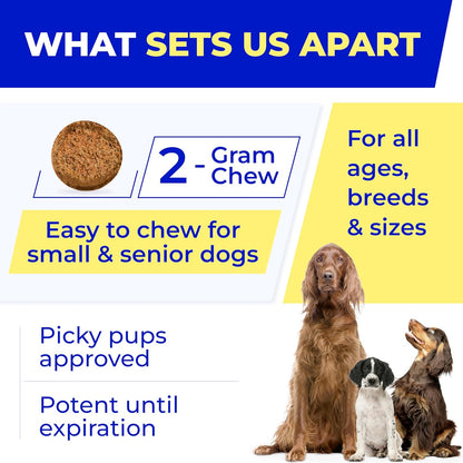 PAWFECTCHEW Pet Probiotics for Dogs & Digestive Enzymes for Dogs | Gut Health & Digestive Function Support | Pumpkin & Omega | Prebiotic Supplement Chews