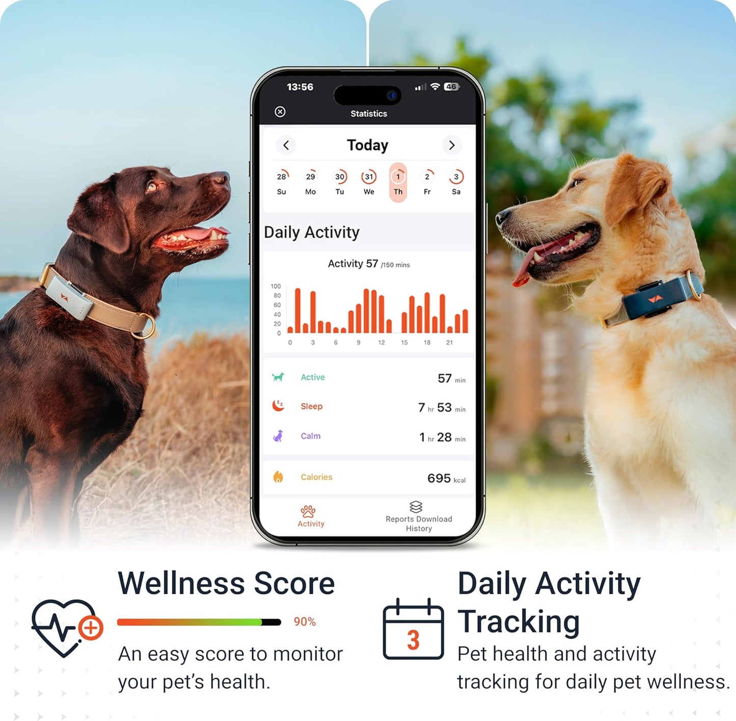 PAJ GPS Dog Tracker - 4G Real-Time Tracking & Runaway Alerts - Waterproof, Long-Range, Smart App Monitor Health & Activity - Fits Any Collar, Mini Device Navigator Chip - Subscription Required - Black