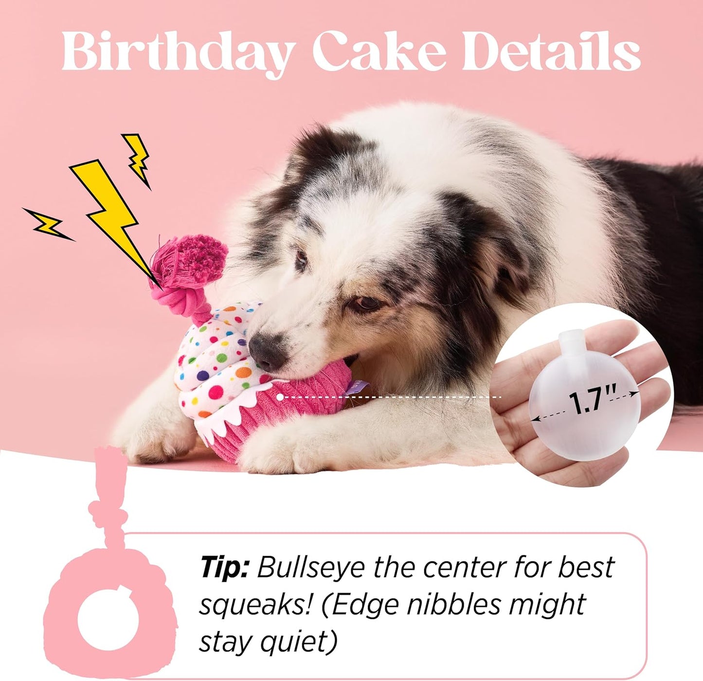LE SURE Foldable Human Dog Bed witth Dog Birthday Cake Toy
