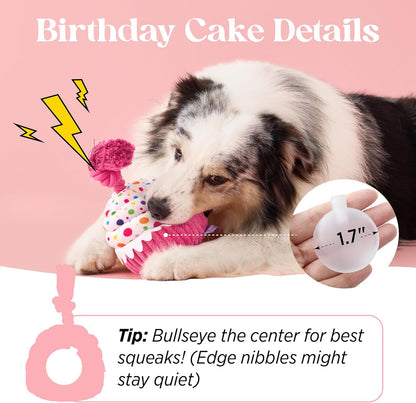 LE SURE Foldable Human Dog Bed witth Dog Birthday Cake Toy