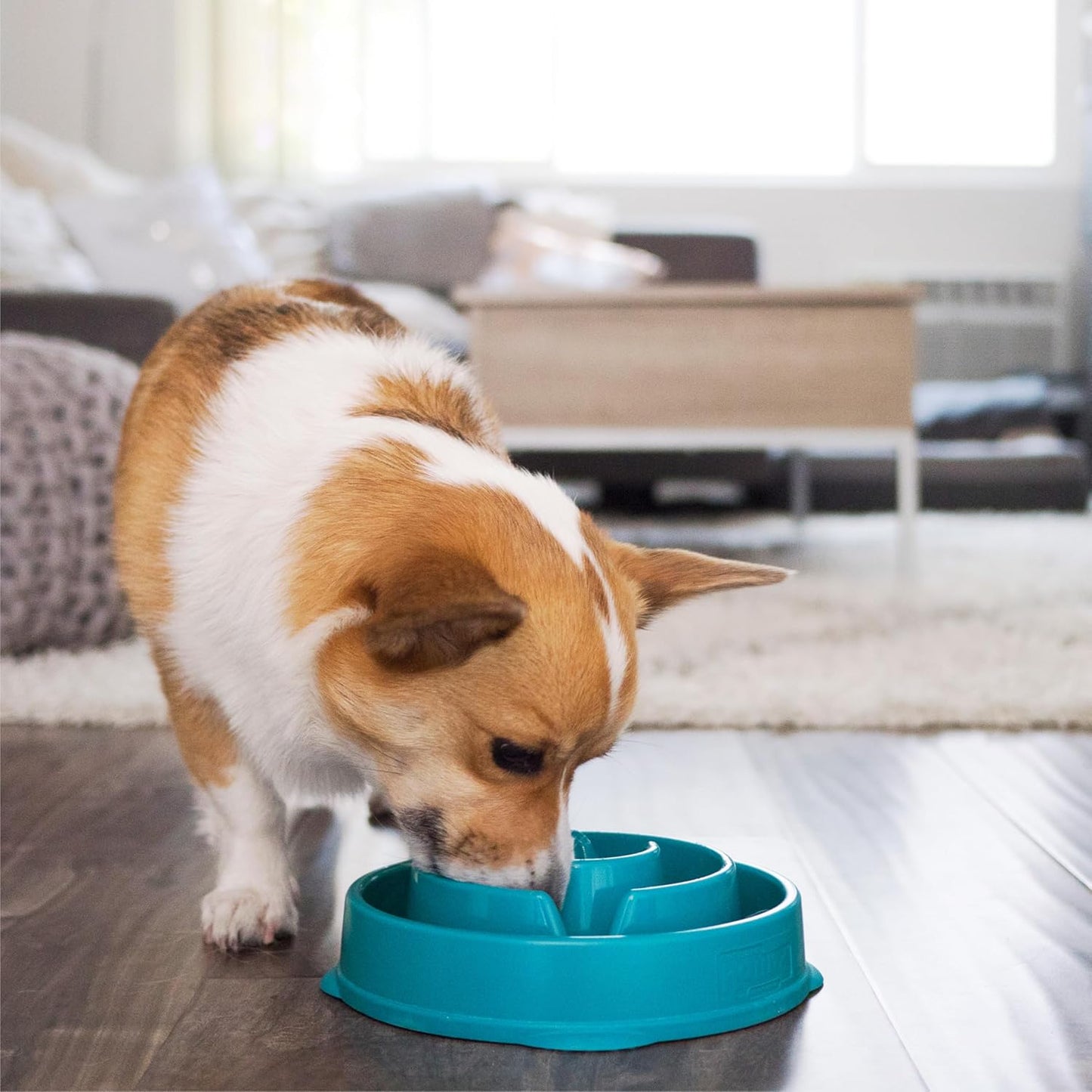 Outward Hound Medium Slow Feeder Bowl, Puzzle Maze for Fast Eaters, Small to Medium Dogs, Helps Prevent Bloat & Aid Digestion, Holds 2 Cups Wet or Dry Food, Non-Slip, Made Without BPA, Turquoise