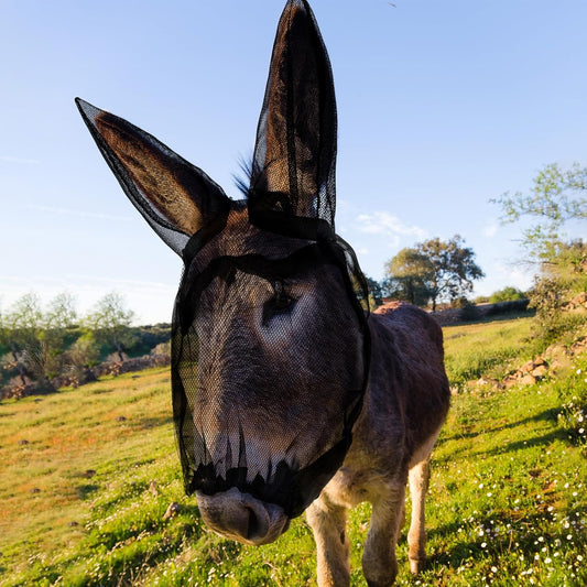 Small Donkey Fly Mask with Ears Protection Breathable Mule Fly Mask with Long Ears Protection from Insects and Bugs Soft Mesh with Adjustable Fastener Easy to get on and Off(Black)