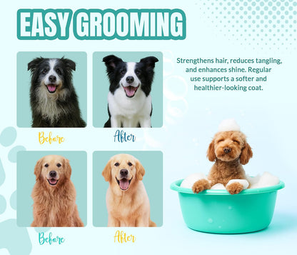 ALFIE'S CHOICE Calm & Comfort Dog Shampoo & Conditioner Set | 16 fl oz Each | with Lavender, Rosemary & Vitamin E | Calming Dog Wash for Itchy Skin, Dry Coat, Odor & All Breeds