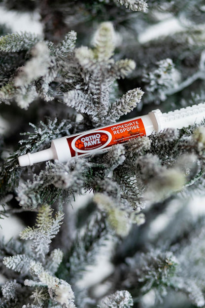 Immediate Response 30ml – Advanced Probiotic & Yeast Paste for Dogs & Cats – Supports Digestive Health, Diarrhea Relief, Hydration, Immune System & Overall Gut Balance – Made in USA