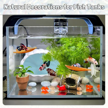 3PCS Betta Hammock Shells, Natural Small Fish Tank Decorations, Betta Fish Tank Accessories, Aquarium Decorations, Aquarium Hideout Habitat for Sleeping Resting Hiding Playing (Yellow)