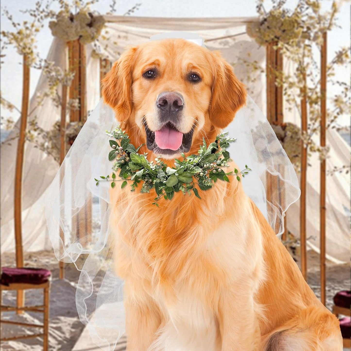 Dog Bow Bride Veil, Pet Wedding Veil with Clip White Dogs Veils Dress Handmade Two-Layer Dogs Headwear Wedding Outfit Hair Accessories for Birthday Weddings Party Decorations