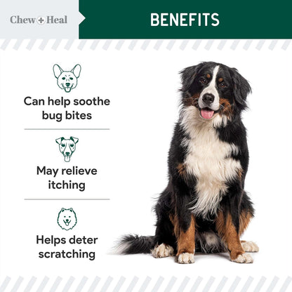 Hydrocortisone Spray for Dogs - 4 oz Dog Anti Itch Spray for Irritated Skin, Hot Spots, Flea Bites, Itching, and More - Made with Hydrocortisone and Pramoxine Hydrochloride - Made in the USA