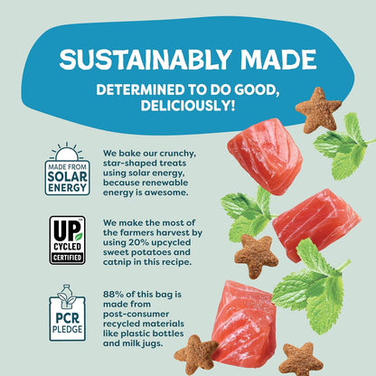 Shameless Pets Crunchy Cat Treats - Catnip Treats for Cats with Digestive Support, Kitten Treats with Real Ingredients, Natural & Healthy Flavored Feline Snacks - Fintastic Catnip, 1-Pk (Pack of 2)