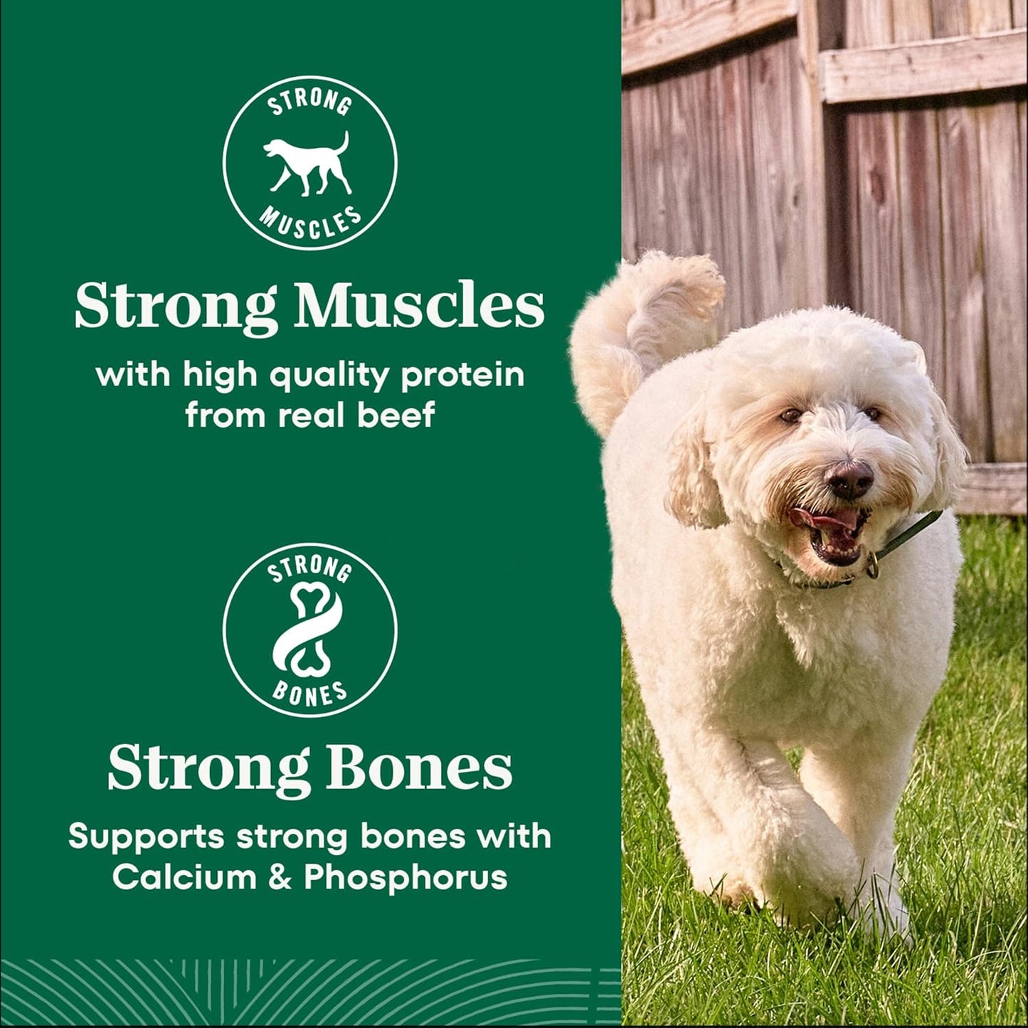 Nutro Natural Choice Adult Large Breed Dog Food Dry, Salmon & Brown Rice Recipe, 28 lb. Bag