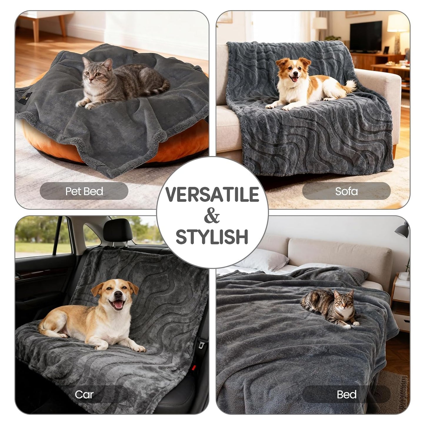 3 in 1 Carpet Rake for Pet Hair Removal & Waterproof Dog Blanket