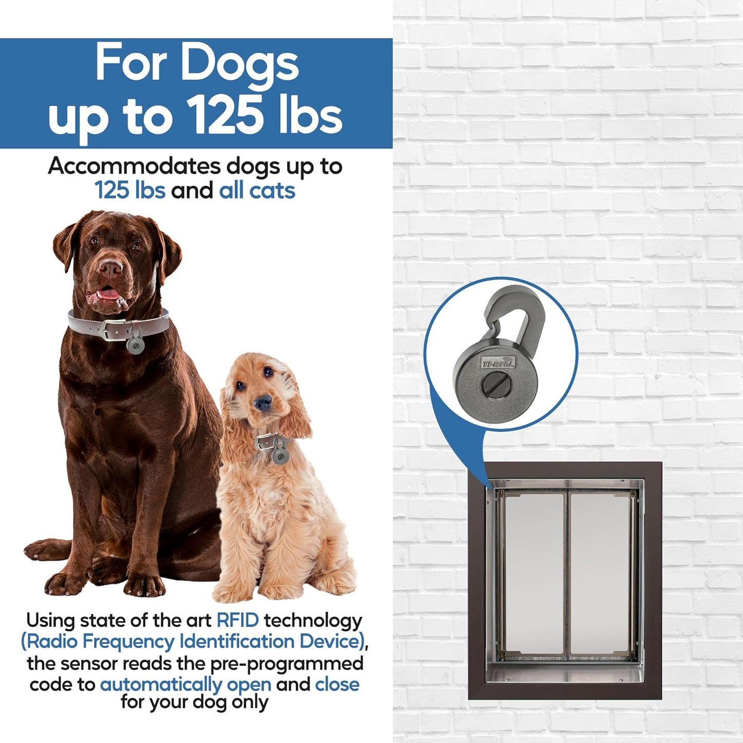 PlexiDor Performance Pet Doors Pet Door Electronic Collar Key, Black