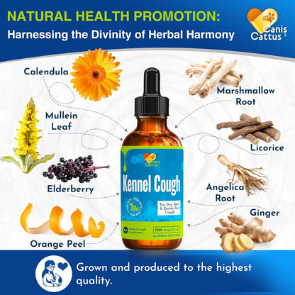 Liquid Dog Vitamins for All Pets – Bundle of Cat & Dog Multivitamin– Vitamin C, D & B – Kidney, Liver & HIPS – Helps with Cough & Breathing – All Breeds Care – 2 Bottle Set