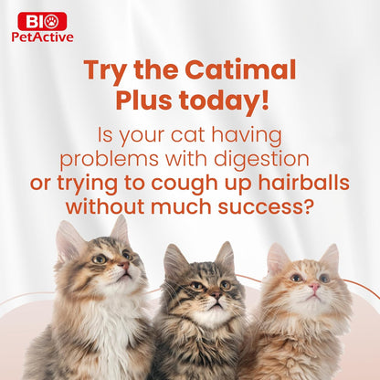 Bio PetActive CatiMalt Plus Hairball Remedy for Cats | All Natural Treats for Relief and Reduce Hair Ball | Kitty & Kitten Furball Control Creamy Gel | Soft Paste – 3.38 oz