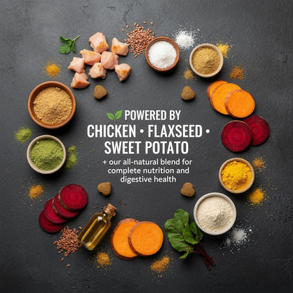 Anal Gland and Multivitamin