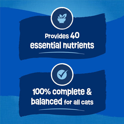 Purina Friskies Dry Cat Food Seafood Sensations With Salmon, Tuna, and Shrimp Flavors - (Pack of 4) 3.15 lb. Bags