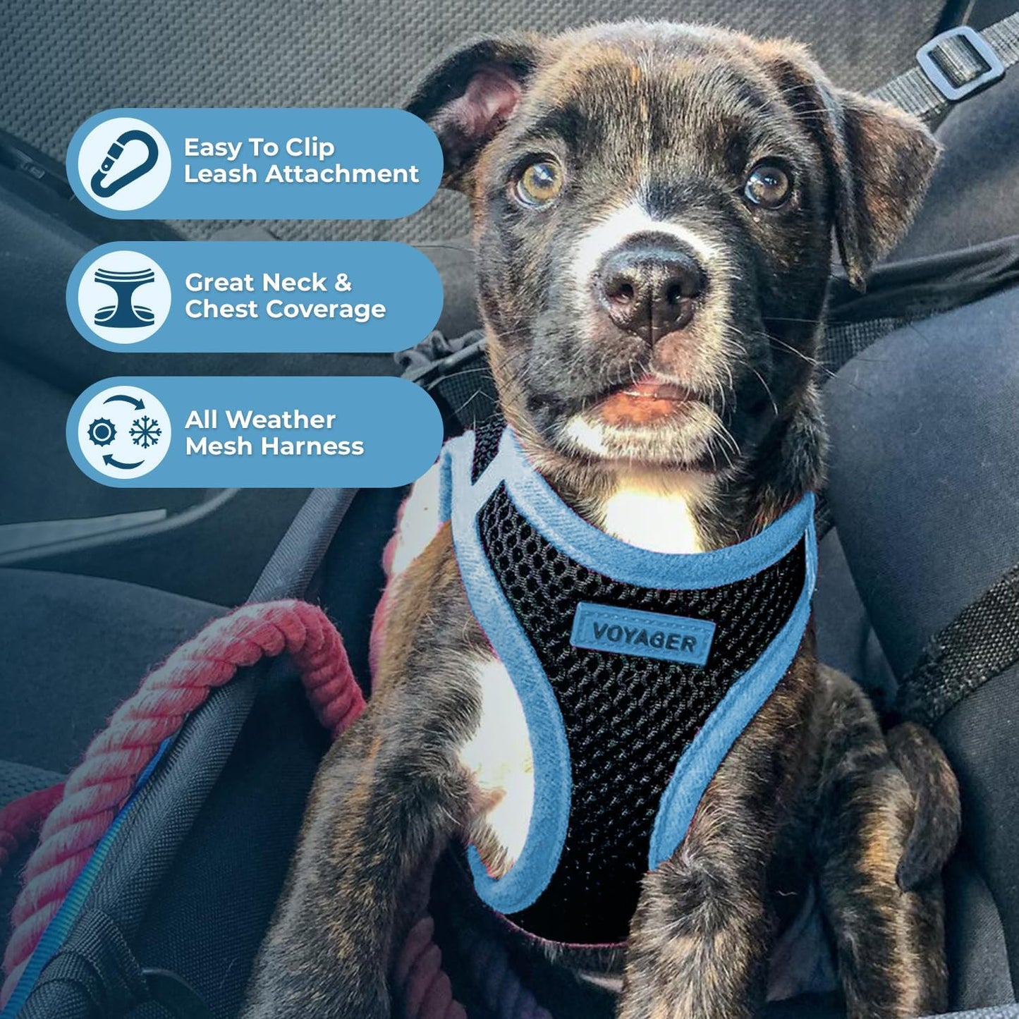 Best Pet Supplies - All Weather Mesh / Plush, Reflective, No Pull Harness for Small, Medium Dogs, Cats - Secure with Hook & Loop Fastener, Buckle, Double D-Rings - Army/Black Trim, L