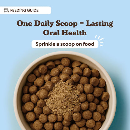 Natural Dog Company Dental Powder for Dogs – Freshens Breath & Helps Reduce Plaque & Tartar, Natural No-Brushing Canine Oral Health Postbiotic Supplement, Vet Formulated, Made in USA, 30-Day Supply