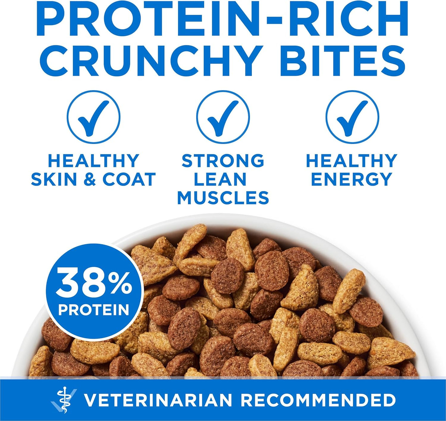 Purina ONE Plus High Protein Cat Food Dry Salmon and Ocean Whitefish Cat Skin and Coat Health Formula - 7 lb. Bag