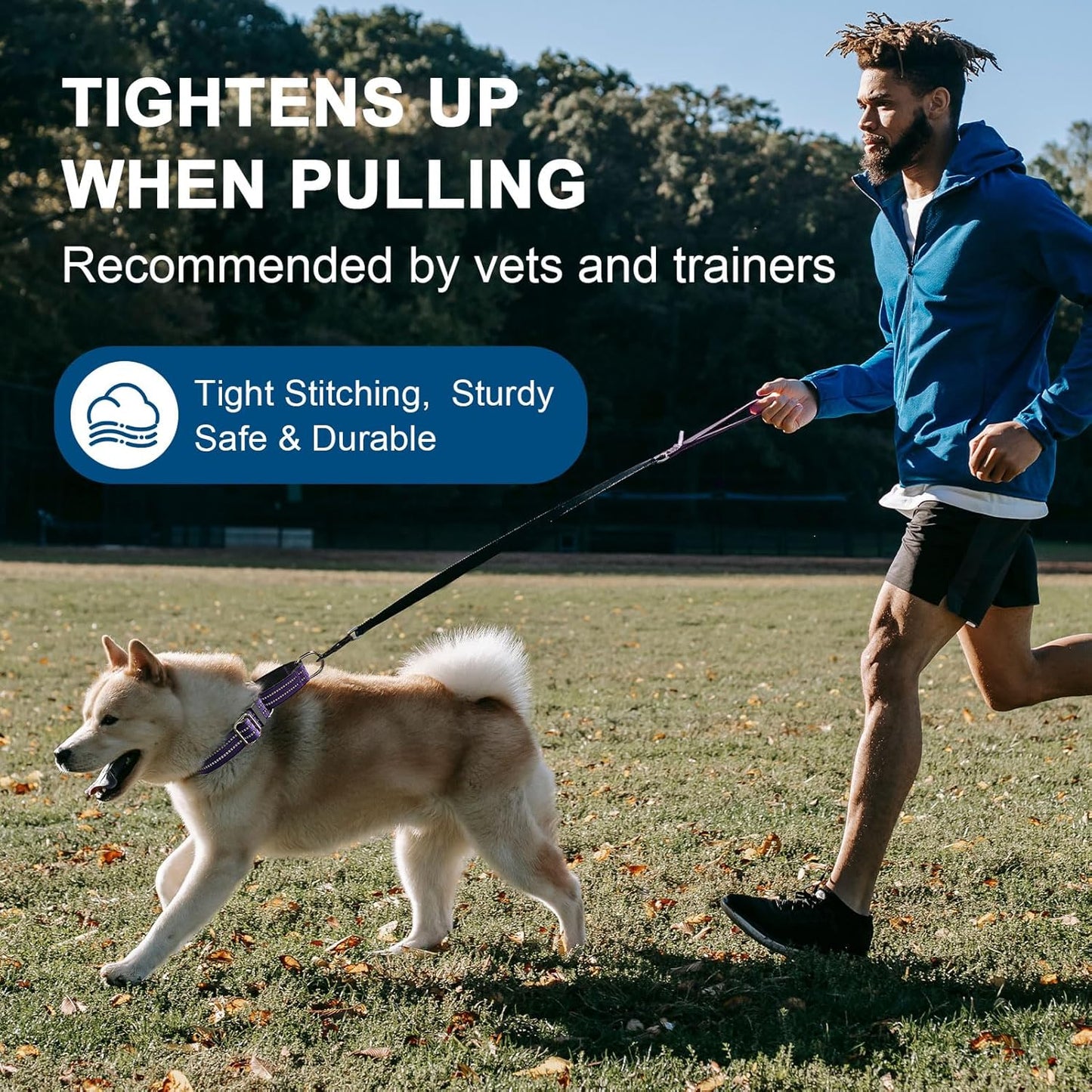 Martingale Dog Collar, Adjustable Nylon Reflective Collar with Buckle No Pull Dog Collar for Small Medium Large Dogs (Purple M)