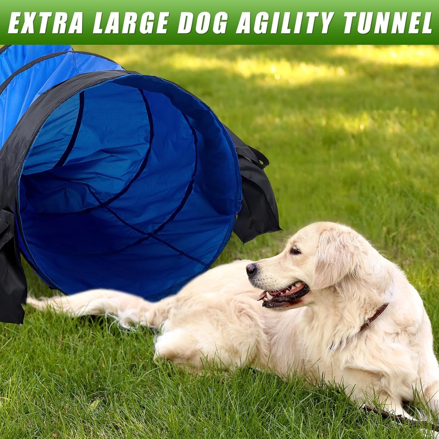 28 in Extra Large Dog Agility Tunnel with Sandbags 10 Foot Dogs Agility Training Equipment Tunnel with 3 Pack Sandbags Carry Bag and 4 Ground Spikes for All Medium and Large Dogs