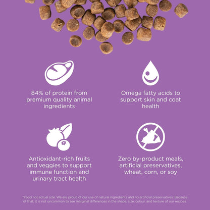 Go! Solutions Carnivore, Grain-Free, Protein Rich Dry Cat Food, Chicken, Turkey and Duck Recipe, 3 lb Bag