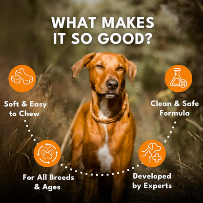 Multivitamin Chews for Dogs - Joint Support + Digestive Enzymes & Probiotics - Dog Multivitamins Chewable - Puppy & Senior Dog Vitamins - Daily Dog Multivitamin and Supplements-50 Soft Chews