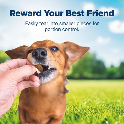 Blue Buffalo Nudges Homestyle Natural Beef and Rice Dog Treats